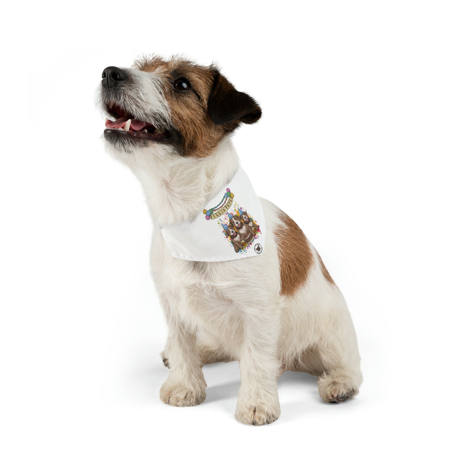 Pittie Party Pet Bandana Collar