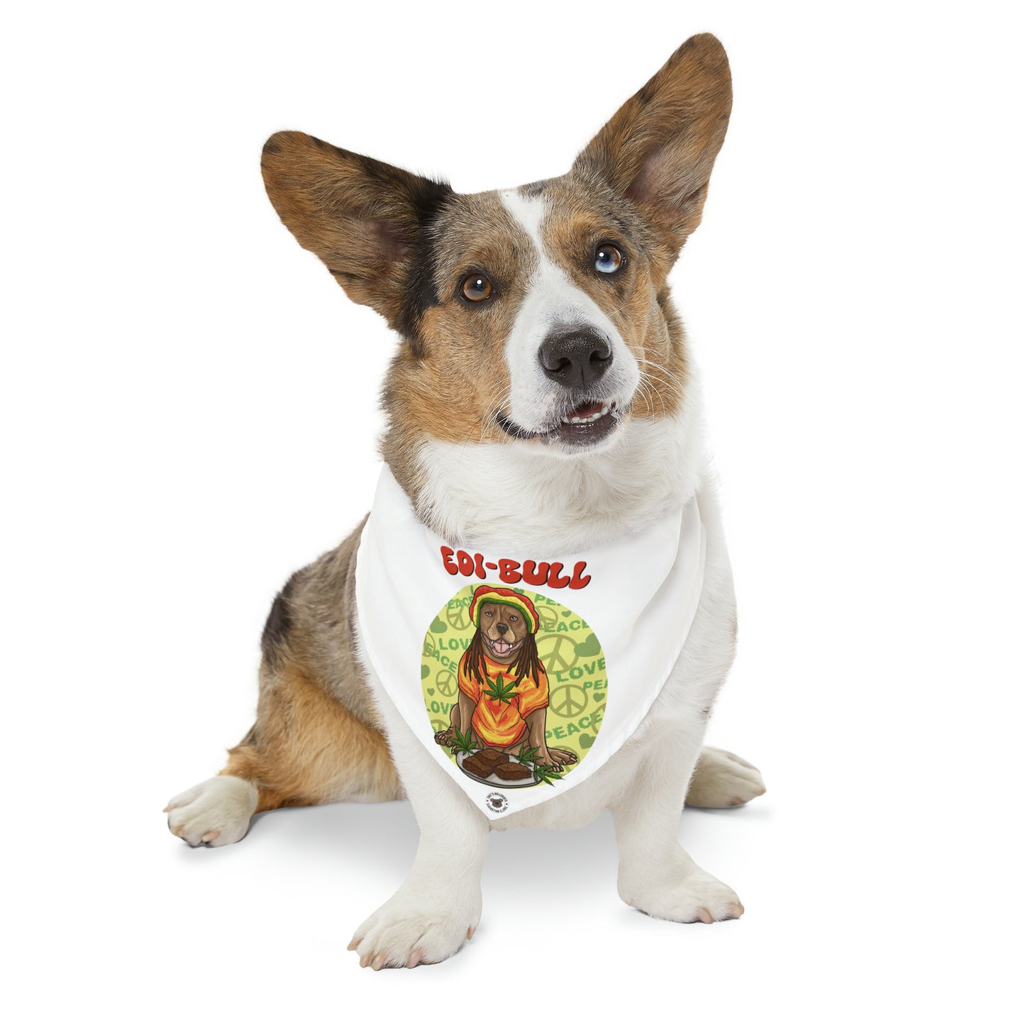 Edi-Bull Pet Bandana Collar