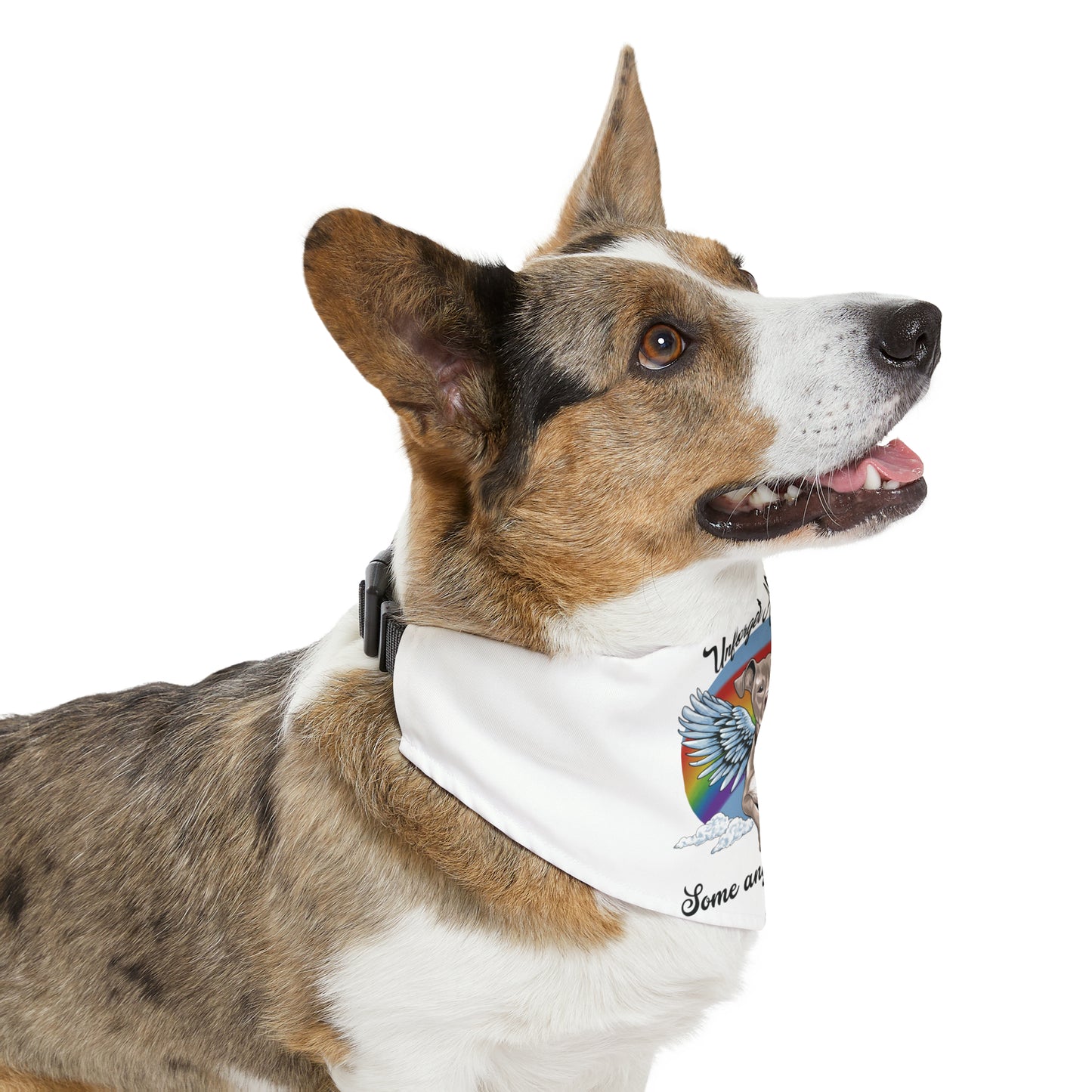 Unforget-A-Bull Pet Bandana Collar