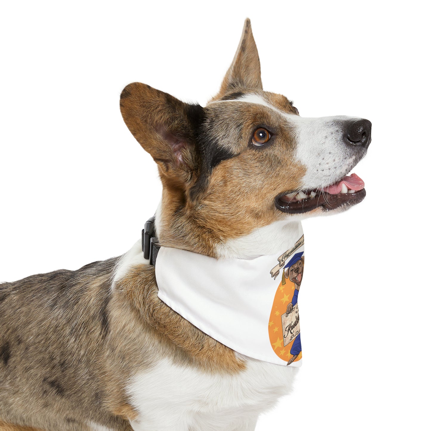 Knowledge-A-Bull Pet Bandana Collar