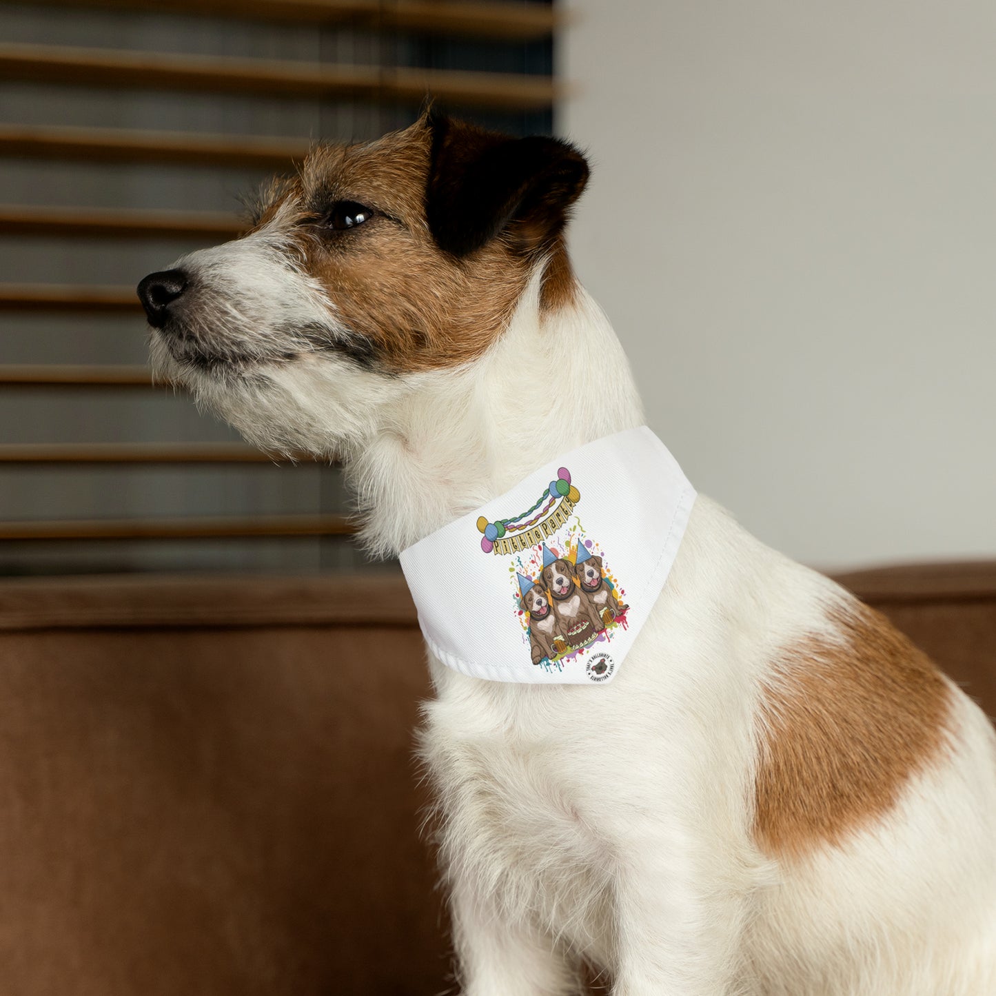 Pittie Party Pet Bandana Collar