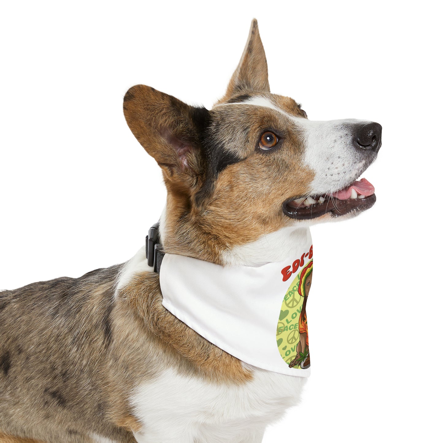 Edi-Bull Pet Bandana Collar