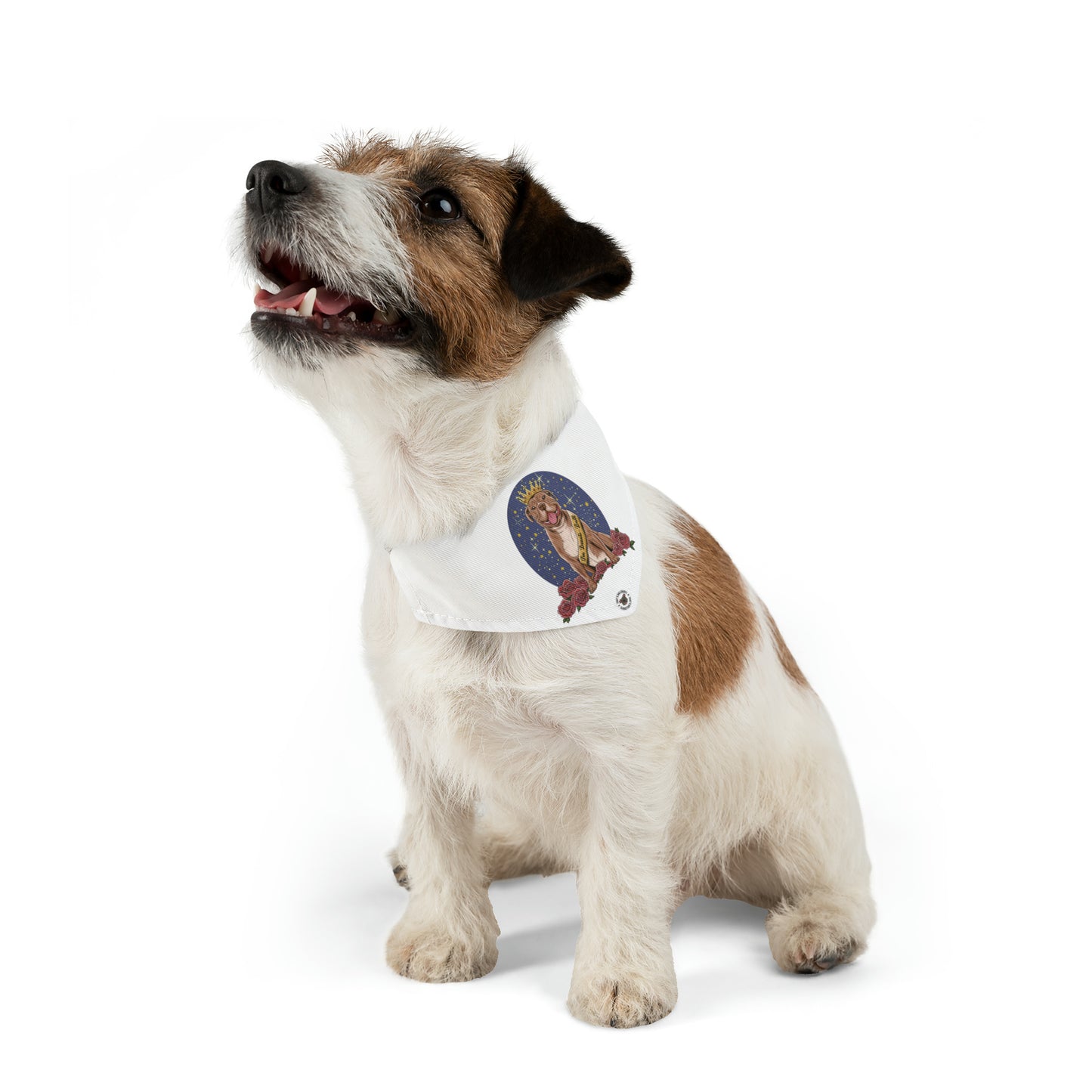 Beauti-Bull Pet Bandana Collar