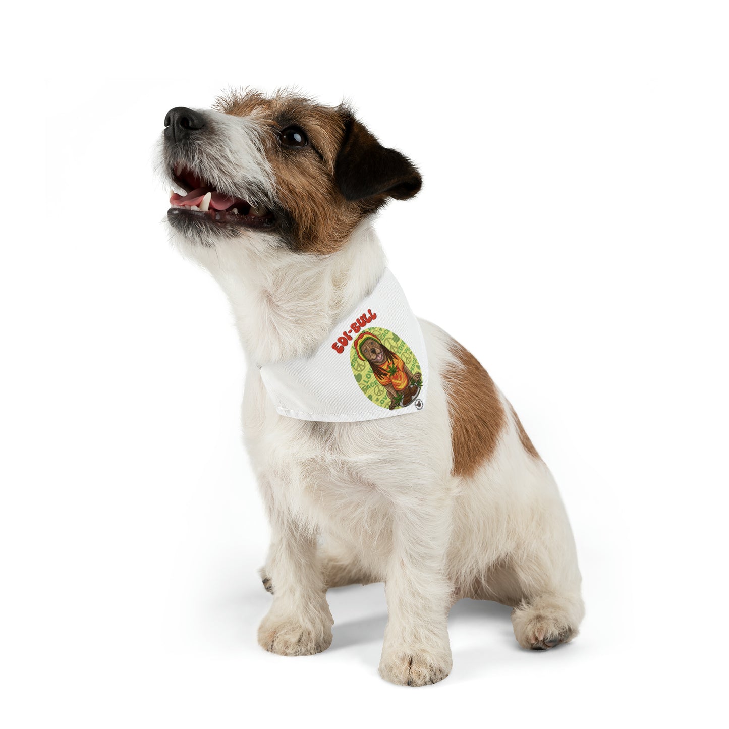 Edi-Bull Pet Bandana Collar